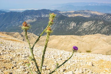 Türkiye 'de kamp tarzında fotoğraflar
