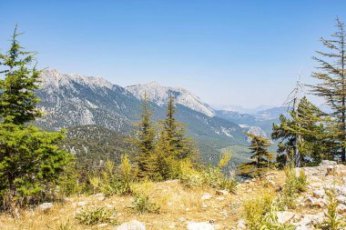 Türkiye 'de kamp tarzında fotoğraflar