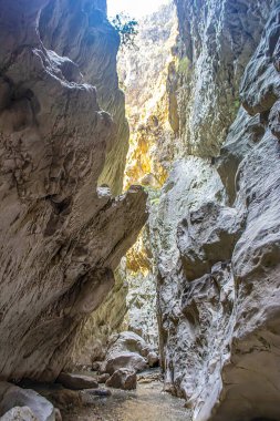 Türkiye 'de kamp tarzında fotoğraflar