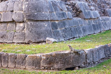 Chichen Itza piramitler Meksika