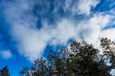 Almanya 'da, Hannenklee şehrinde, 