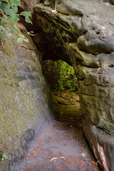 Almanya 'da Burg Bentheim