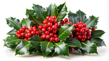 Çilekli Noel ağacı