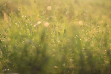 Kapat - Güneşin doğuşunu