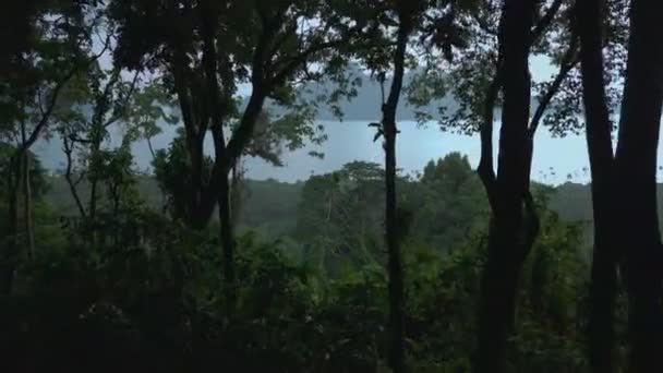 Flying Rainy Forest View Mountains Sea Philippines High Quality Footage — Stock Video
