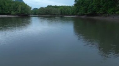 İnsansız hava aracı Tayland 'da nehir boyunca ilerliyor ve yeşil bir ormanın üzerinden uçuyor. Yüksek kalite 4k görüntü