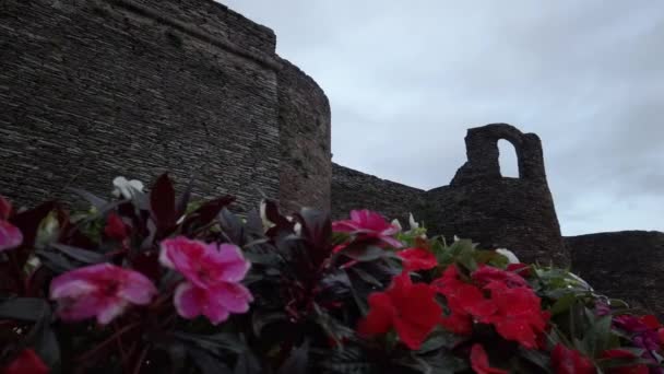 Filmvideo Von Der Mauer Von Lugo Und Seinen Gärten — Stockvideo