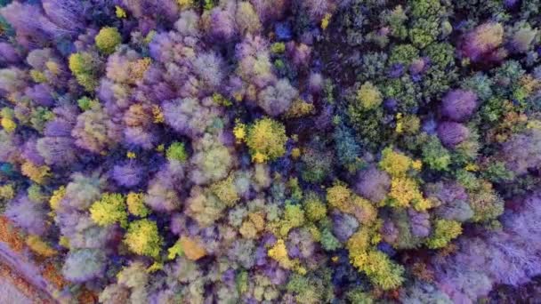 Tonen Vanuit Een Luchtfoto Met Een Drone Indrukwekkende Kleuren Van — Stockvideo