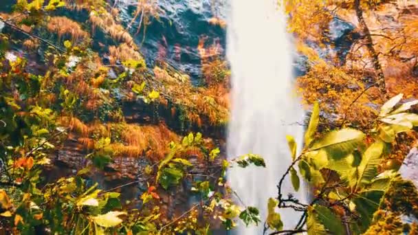 Mała Woda Wodospadowa Środku Lasu Pomarańczowego — Wideo stockowe