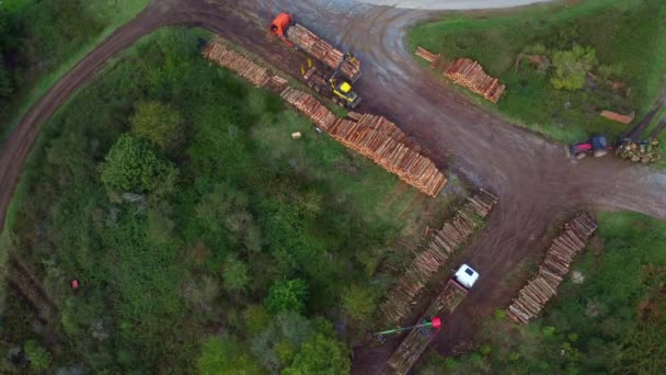 Aerial Drone View Filmagem Trabalhos Florestais Florestas Pinheiros Mostrando Máquinas — Vídeo de Stock