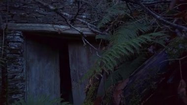 Bilinmeyene duygu, korku ve ıstırap veren yarı açık ahşap bir kapı..