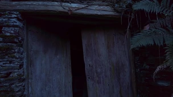 Ярком Изображении Заброшенный Дом Стоит Памятник Запустению Слегка Приоткрытые Двери — стоковое видео