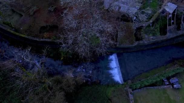 Αεροφωτογραφία Drone Γυρισμάτων Ένα Παλιό Δέντρο Σούρουπο Δίπλα Ένα Όμορφο — Αρχείο Βίντεο