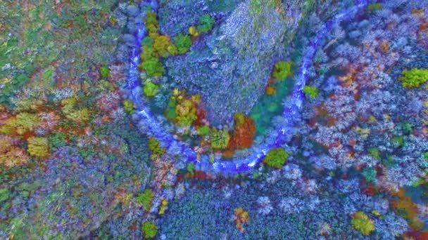 古代の谷が小さなバージン川が循環する自然の峡谷を形成することを示す人によってアクセスできない遠隔地を撮影した無人機による空中ビデオ — ストック動画