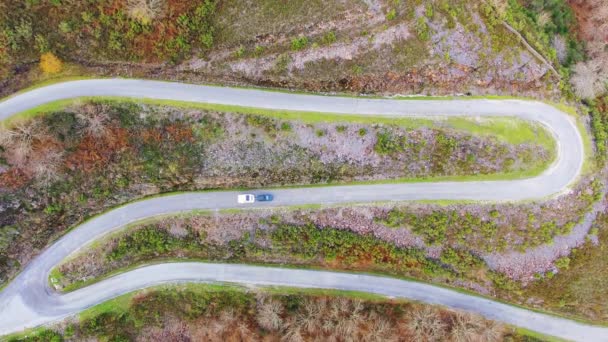 Luftvideo Mit Drohne Filmte Eine Kurvenreiche Straße Auf Der Eine — Stockvideo