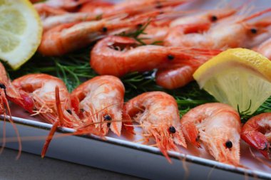 Dikdörtgen bir tabakta kaynamış karidesler, dereotuyla süslenmiş, üç sıra karides, bir tabak üzerindeki karides sırasının ön planına odaklan.,