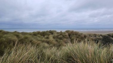 Doğanın güzel manzarası