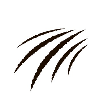 Pençe çizikleri - vektör şeffaf arkaplanda izole. Pençeler hayvanı tırmalıyor. Vektör illüstrasyonu