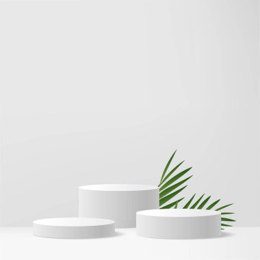 Tropikal Palm Leaf ile Modern Minimalist Beyaz Yaya Gösterimi. Vektör illüstrasyonu