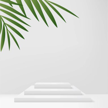Tropikal Palm Leaf ile Modern Minimalist Beyaz Yaya Gösterimi. Vektör illüstrasyonu