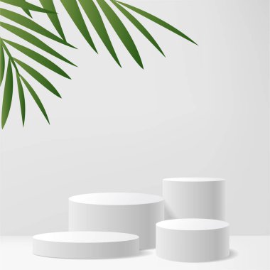 Tropikal Palm Leaf ile Modern Minimalist Beyaz Yaya Gösterimi. Vektör illüstrasyonu