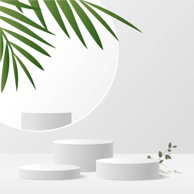 Tropikal Palm Leaf ile Modern Minimalist Beyaz Yaya Gösterimi. Vektör illüstrasyonu