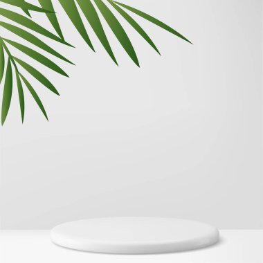 Tropikal Palm Leaf ile Modern Minimalist Beyaz Yaya Gösterimi. Vektör illüstrasyonu
