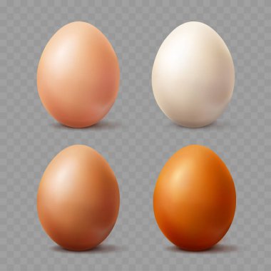 3B Vektör illüstrasyonunda Farklı Kabuk Renklerine sahip Gerçekçi Yumurtalar