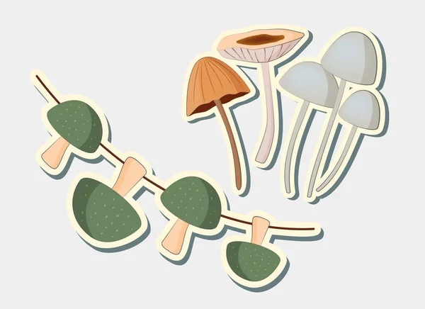 Different Mushrooms Stickers Vector Stickers Mushrooms — Stock Vector