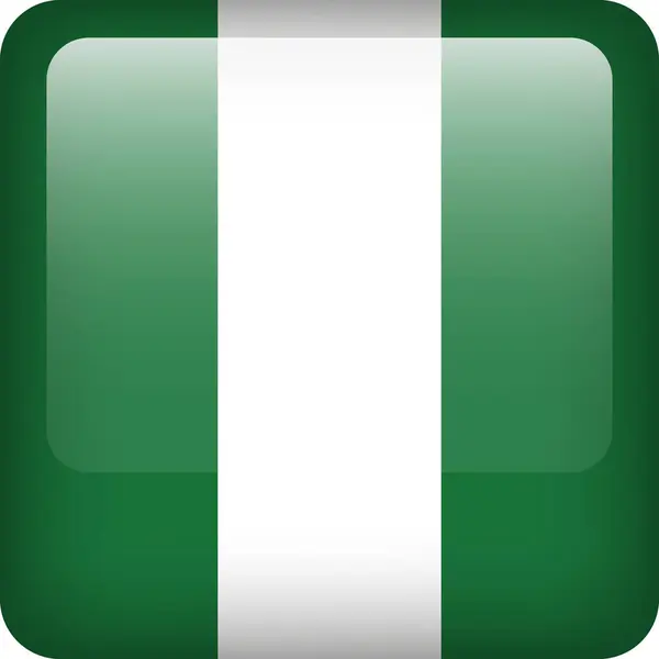 Vettore Bandiera Nigeria Pulsante Lucido Simbolo Nazionale Nigeriano Pulsante Icona — Vettoriale Stock