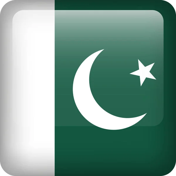 Botón Bandera Pakistán Emblema Cuadrado Pakistán Bandera Del Vector Pakistán — Vector de stock