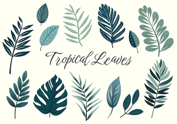 Tropische Vector Vertrekt Handgetekende Bloemenillustratie Een Set Exotische Bladeren Palmbladeren — Stockvector