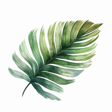 Suluboya tropikal yaprak. Vektör yaprağı. Egzotik yapraklar, yabani çiçekler.. 