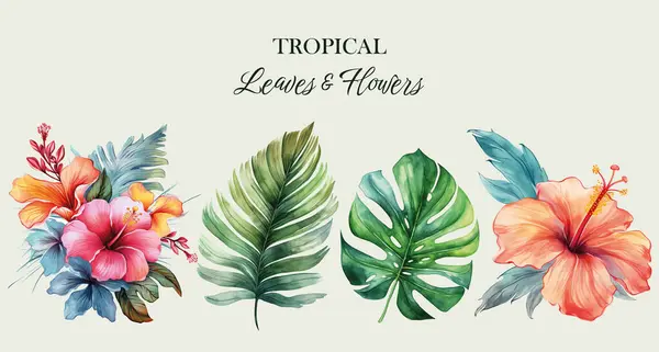Tropiska Vektorblommor Akvarell Blommig Illustration Uppsättning Exotiska Blommor Och Blad — Stock vektor