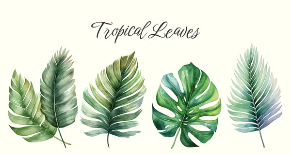 热带病媒离开 水彩画 一套奇异的叶子 棕榈叶 — 图库矢量图片