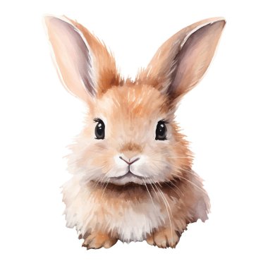 Suluboya bebek tavşan. Elle çizilmiş kabarık tavşan, paskalya tavşanı. Klip sanatı.