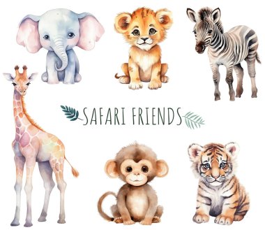 Vahşi safari bebek hayvanları suluboya. Afrika zebrası, fil, kaplan, yavru aslan el çizimi vektör kümesi.