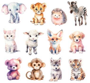 Yavru hayvanlar suluboya seti. El çizimi vektör küçük hayvan zebra, tilki, fil, kurt, kaplan, aslan, kirpi.