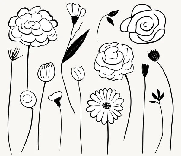 Flores Garabato Monocromáticas Conjunto Elementos Florales Esquema Ilustración Botánica Plantas — Archivo Imágenes Vectoriales