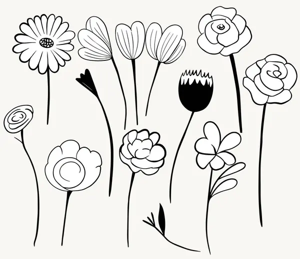 Flores Monocromáticas Rabiscos Conjunto Elementos Florais Delinear Ilustração Botânica Plantas — Vetor de Stock