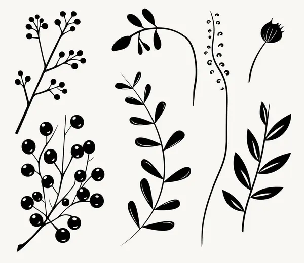Plantes Monochromes Feuilles Branches Éléments Floraux Ensemble Décrivez Illustration Botanique — Image vectorielle