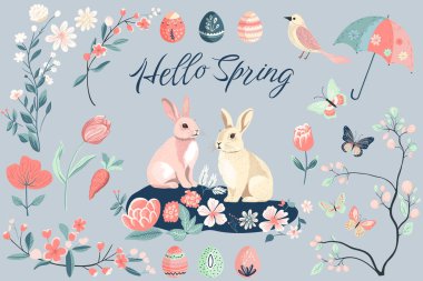 Bahar koleksiyonu. El çizimi bahar elementleri çiçekler, kuş, tavşan. Vektör çizimi. Moda bahar tasarımı 