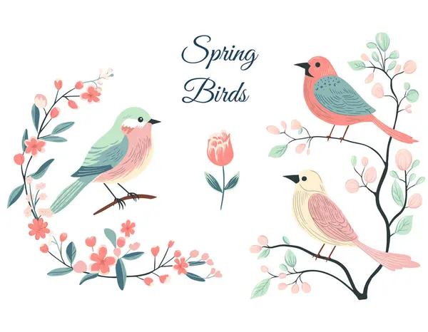 Colorful Birds Different Branches Spring Summer Time Hand Drawn Vector — Stock Vector