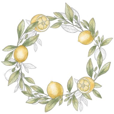 Limon dallarının suluboya çelengi. Limon çerçevesi. Siyah çizgi, limon çizimi.