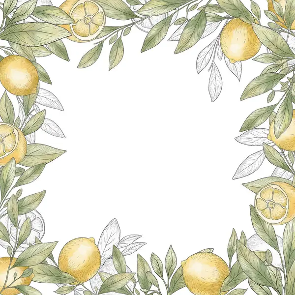 Watercolor frame of lemon branches. Lemon square border. Black stroke, lemon sketch