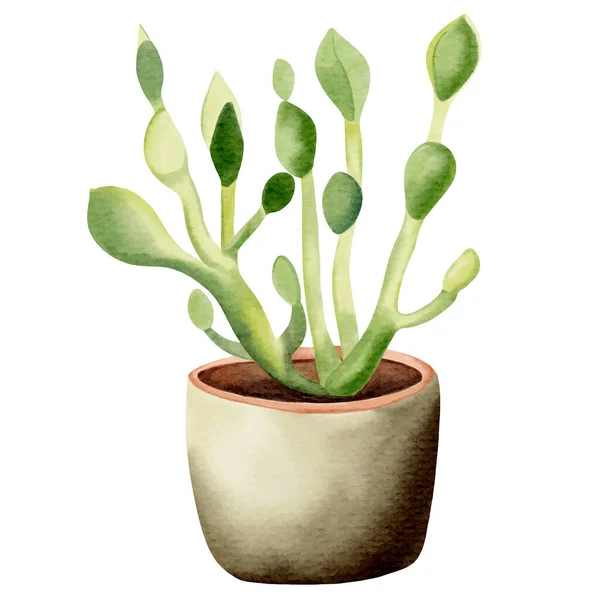 Aquarel Sappige Cactus Planten Pot Aquarel Bloempot Geïsoleerd Wit Mexicaanse — Stockvector