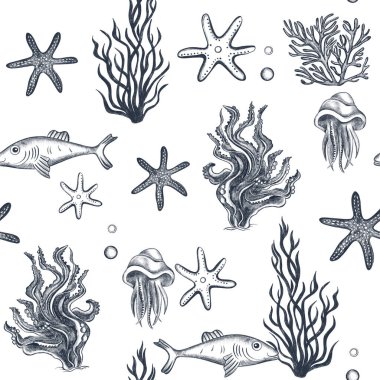 Denizin altında kusursuz bir altyapısı var. Yüzen denizyıldızı, mercan, denizanası çizimi. Deniz altı yaşam biçimi. 