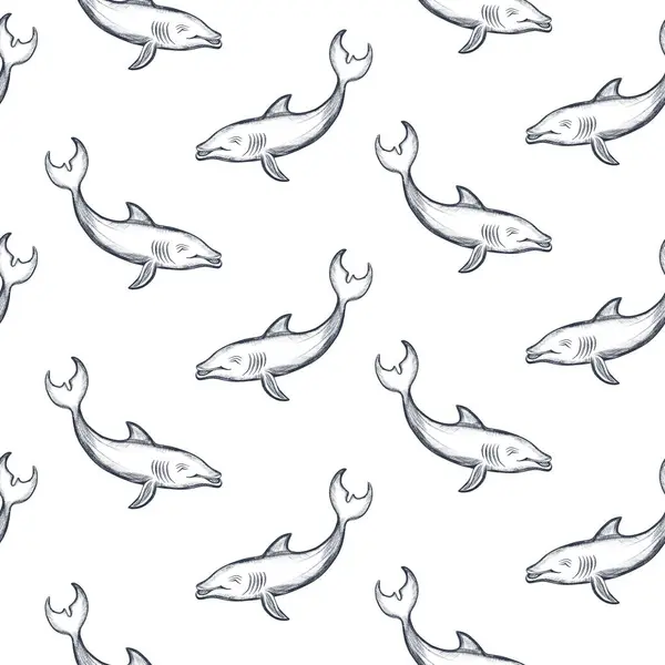 Dolphin seamless background. Swimming fish sketch pattern. Underwater marine life pattern.