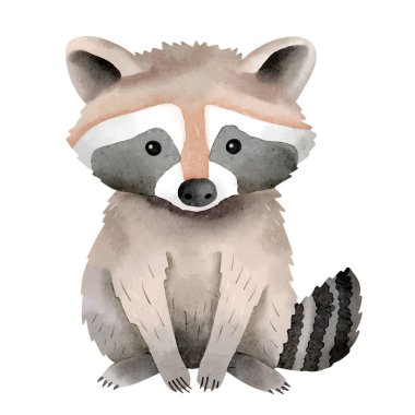 Tatlı suluboya rakun. Orman hayvanları. Suluboya vektör bebek rakun