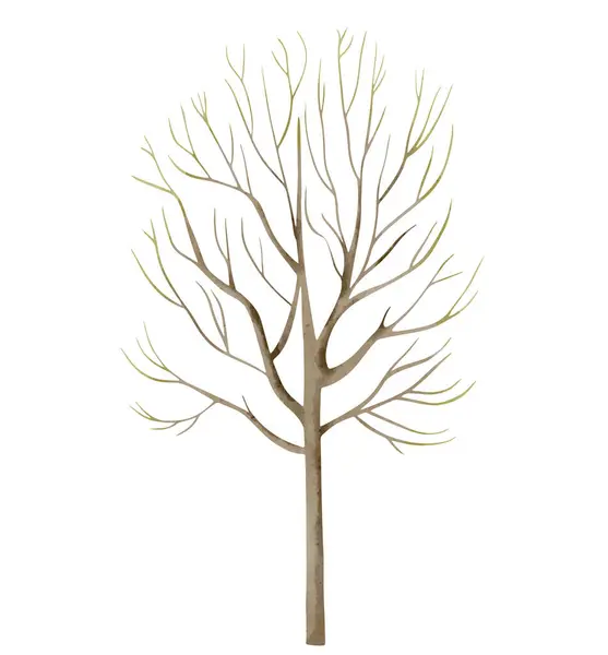 Δέντρο Ακουαρέλας Χειροποίητη Απεικόνιση Δάση Ακουαρέλες Στοιχείο Υδροχρωματικής Φύσης — Διανυσματικό Αρχείο